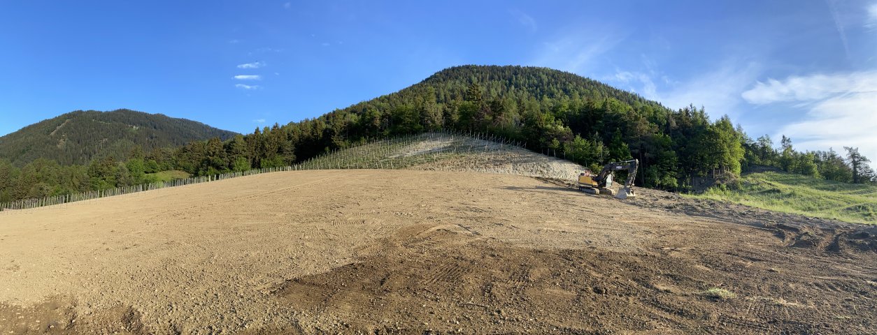 wiesenplanierung_2020-07-08_02_albrecht_auer.jpg